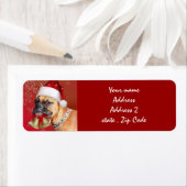 Weihnachtsboxer (Insitu)