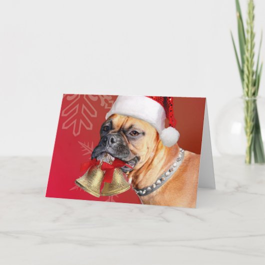 Weihnachtsboxer Feiertagskarte (Vorderseite)
