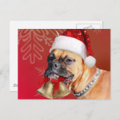 Weihnachtsboxer Feiertagspostkarte (Vorne/Hinten)