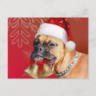 Weihnachtsboxer Feiertagspostkarte