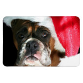 Weihnachtsboxer Magnet (Horizontal)