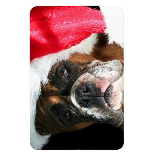 Weihnachtsboxer Magnet (Vertikal)