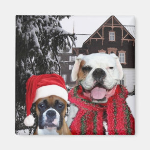 Weihnachtsboxer verfolgt Magneten Magnet