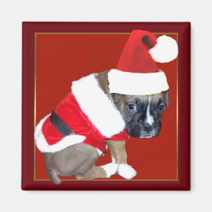 Weihnachtsboxer-Welpenmagnet Magnet