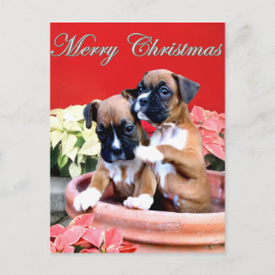 Weihnachtsboxer Welpenpostkarte Feiertagspostkarte