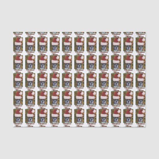 Weihnachtsboxerhund Seidenpapier (Vorderseite)