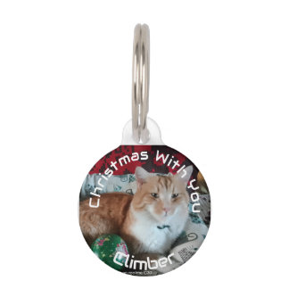 Weihnachtsbrauch Katze Zwei Fotos Name Haustiermarke