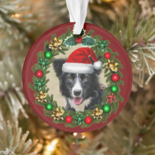 Weihnachtsbräuner Collie Acryl-Ornament Ornament