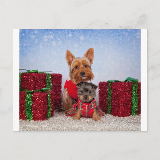 Weihnachtsbuddies Feiertagspostkarte (Vorderseite)