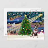 Weihnachtsbull Terrier (Blinde) Feiertagspostkarte (Vorne/Hinten)