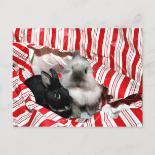 Weihnachtsbunnies Feiertagspostkarte