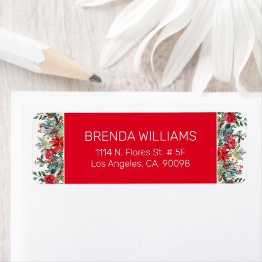 Weihnachtsbunten Blume (Insitu)