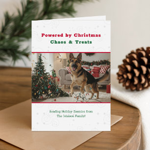Weihnachtschaos und Leckerlis Lustiges Hunde-Foto  Feiertagskarte