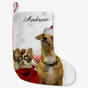 WeihnachtsChihuahua verfolgt personalisierten Kleiner Weihnachtsstrumpf