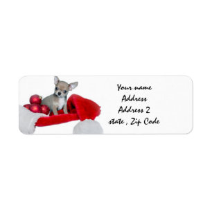 WeihnachtsChihuahuahund