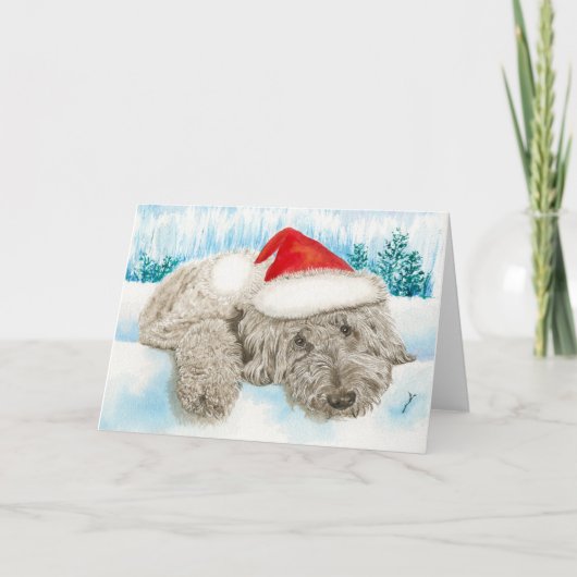 Weihnachtschokolade Labradoodle Feiertagskarte (Vorderseite)