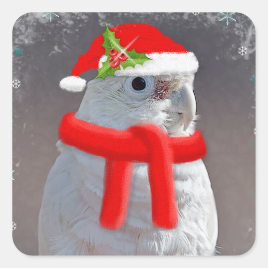 Weihnachtscockatoo-Sticker Quadratischer Aufkleber (Vorderseite)