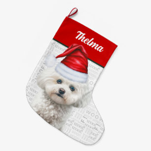 Weihnachtscoton de Tulear Name Vorgeschichte Großer Weihnachtsstrumpf