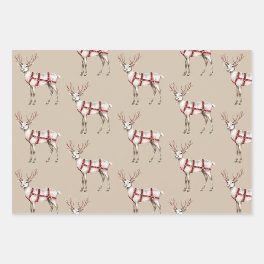 Weihnachtscreme Roter Peppermint Fox Deh Geschenkpapier Set (Vorderseite 3)