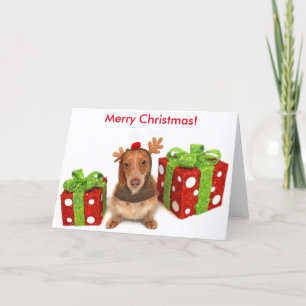 WeihnachtsDackel Feiertagskarte