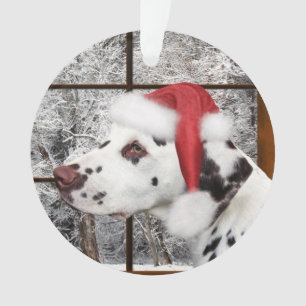 Weihnachtsdalmatiner Ornament