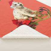 Weihnachtsdecke mit individuelle Name. Sherpadecke (3/4)