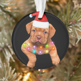 Weihnachtsdekoration für Hundefreunde p Ornament