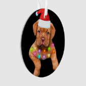 Weihnachtsdekoration für Hundefreunde p Ornament (Vorderseite)