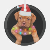 Weihnachtsdekoration für Hundefreunde p Ornament Aus Glas (Vorderseite)
