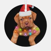 Weihnachtsdekoration für Hundefreunde p Ornament Aus Glas (Rückseite)