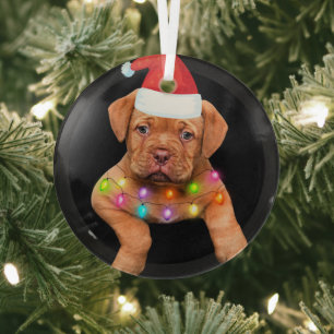 Weihnachtsdekoration für Hundefreunde p Ornament Aus Glas
