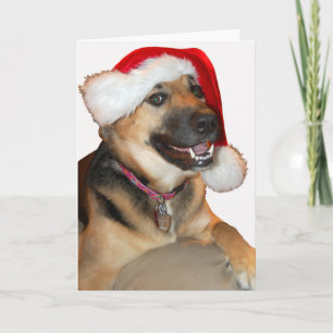 Weihnachtsdeutscher Schäferhund Feiertagskarte