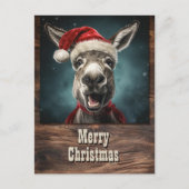 WeihnachtsDonkey Postkarte (Vorderseite)
