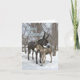 Weihnachtsdonkeys im Schnee Karte