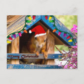 Weihnachtseichhörnchen in Haus Postkarte (Vorderseite)