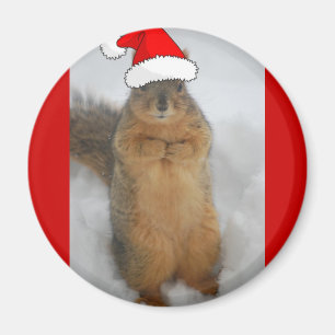 Weihnachtseichhörnchen Magnet