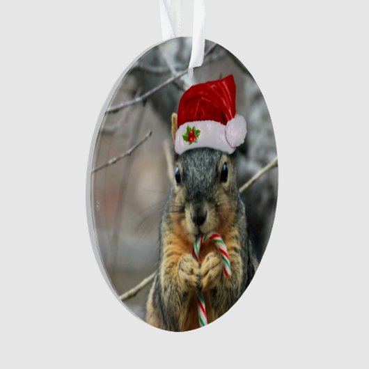 Weihnachtseichhörnchen Ornament (Vorderseite)