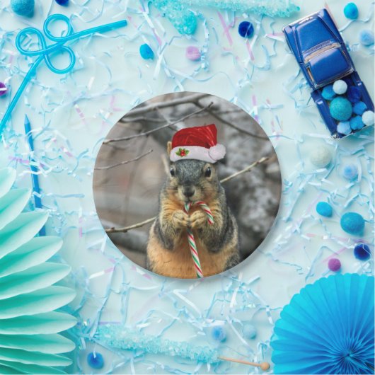 Weihnachtseichhörnchen Pappteller (Party)