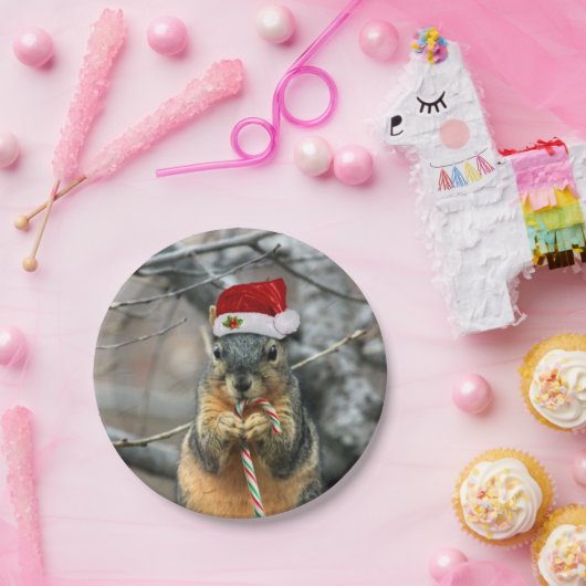 Weihnachtseichhörnchen Pappteller (Party)