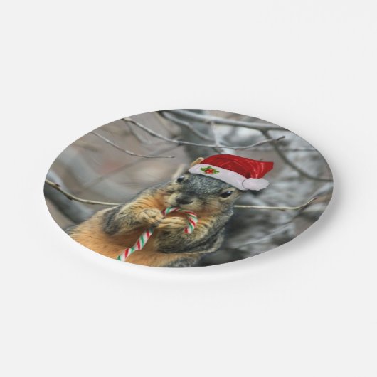 Weihnachtseichhörnchen Pappteller (Schrägansicht)