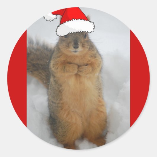 Weihnachtseichhörnchen Runder Aufkleber (Vorderseite)