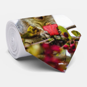 Weihnachtseichhörnchenkrawatte Krawatte