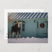 WEIHNACHTSelche Feiertagspostkarte (Vorne/Hinten)