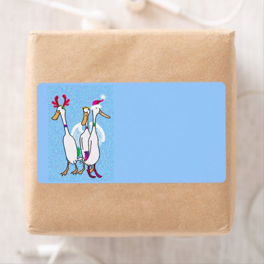 Weihnachtsenten (Insitu)