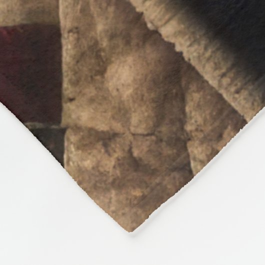 Weihnachtsernährstoff gestoppt fleecedecke (Ecke)