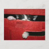 Weihnachtsfeier Feiertagspostkarte (Vorderseite)