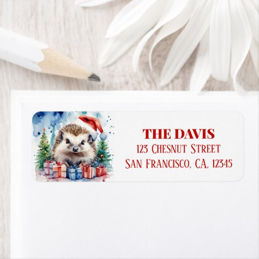 Weihnachtsfeierlicher Igel (Insitu)