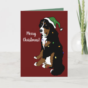 Weihnachtsfeiertag Bernese Mountain Dog Karte