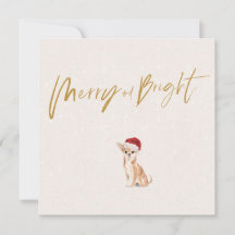 Weihnachtsfeiertag Chihuahua Dog Merry Gruß
