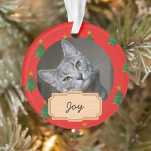 Weihnachtsfeiertag Custom Cat Foto Ornament